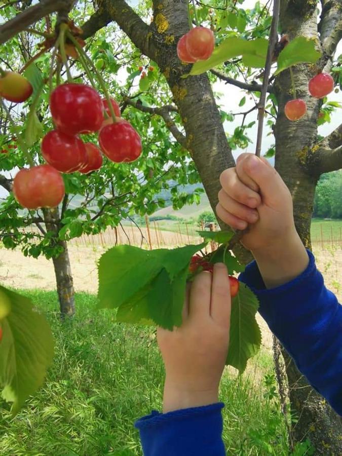 Cascina Valtignosa Camere Con Vigna 카시네 외부 사진