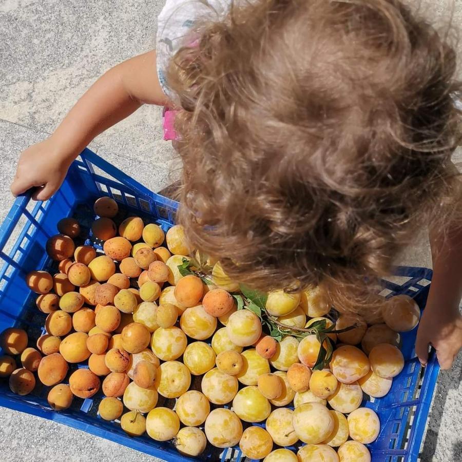 Cascina Valtignosa Camere Con Vigna 카시네 외부 사진