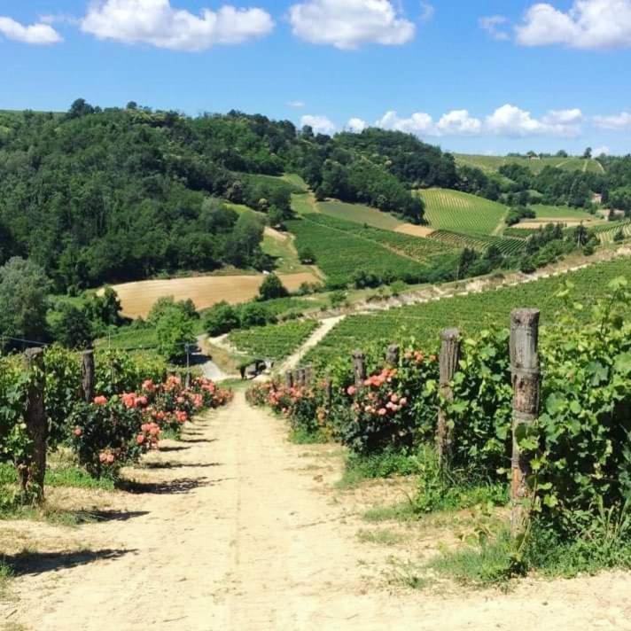 Cascina Valtignosa Camere Con Vigna 카시네 외부 사진
