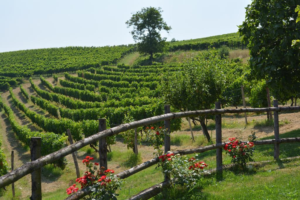 Cascina Valtignosa Camere Con Vigna 카시네 외부 사진