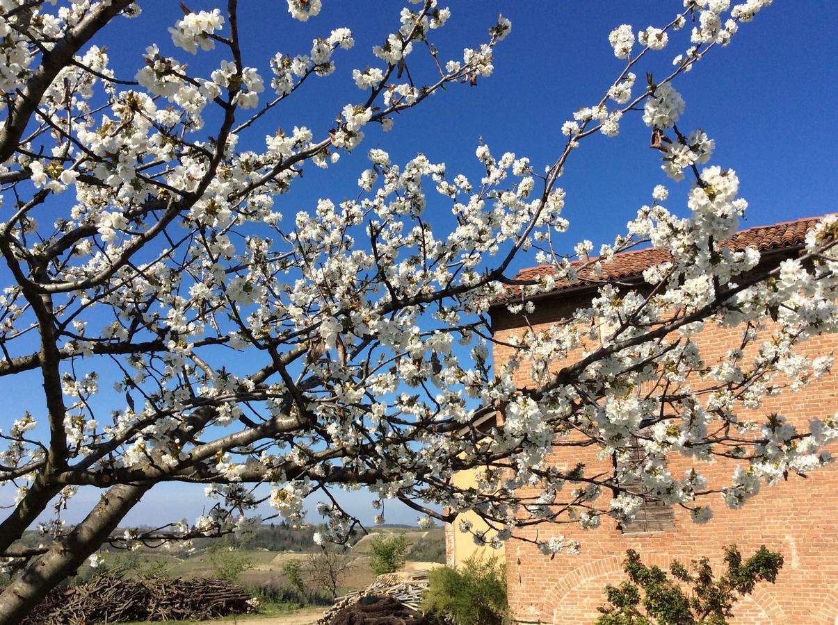 Cascina Valtignosa Camere Con Vigna 카시네 외부 사진
